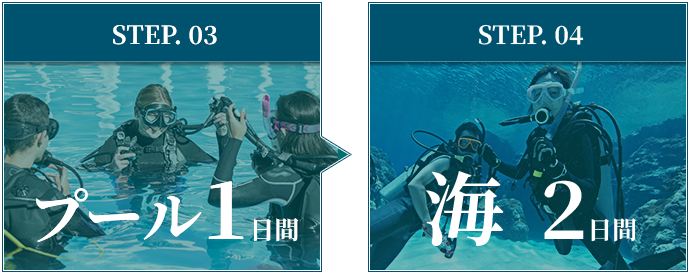 プール1日間